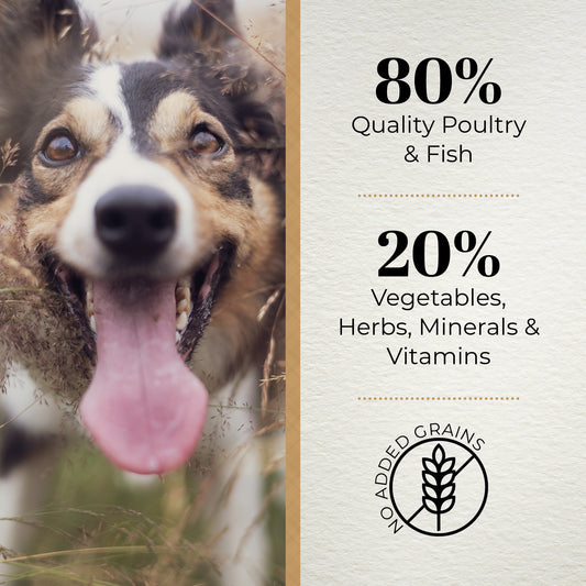 Ferguson Original 80/20 Grain Free Dry Dog Food