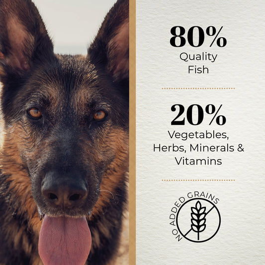 Ferguson Fine Fish 80/20 Grain Free Dry Dog Food