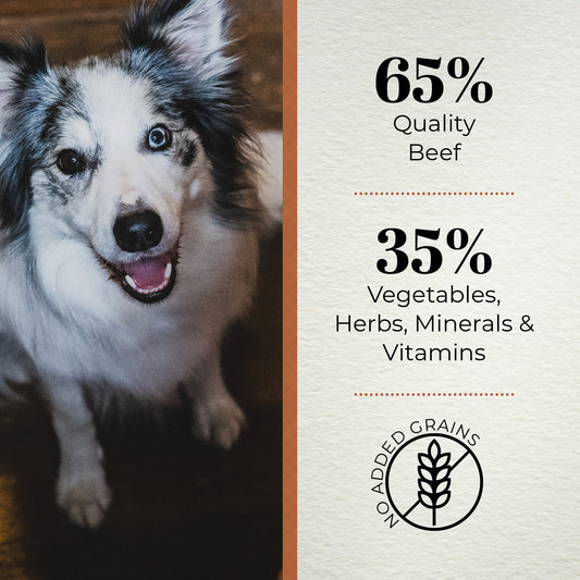 Ferguson Angus Beef Adult Dry Dog Food