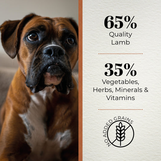 Ferguson Grass Fed Lamb Adult Dry Dog Food