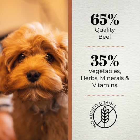 Ferguson Angus Beef Small Breed Adult Dry Dog Food