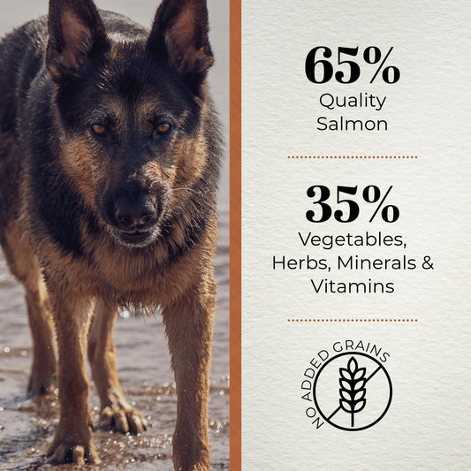 Ferguson Scottish Salmon Adult Dry Dog Food