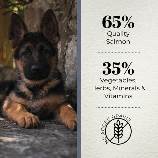 Ferguson Scottish Salmon Puppy Dry Dog Food