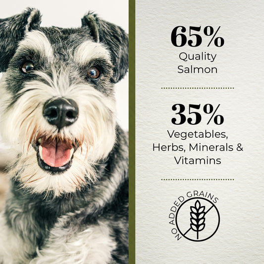 Ferguson Scottish Salmon Senior Dry Dog Food