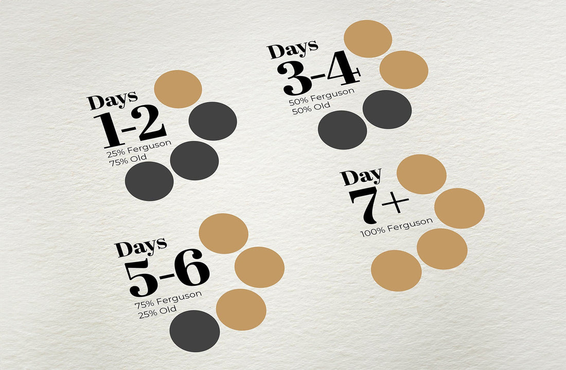 🐶 How to transition your dog to a new food safely