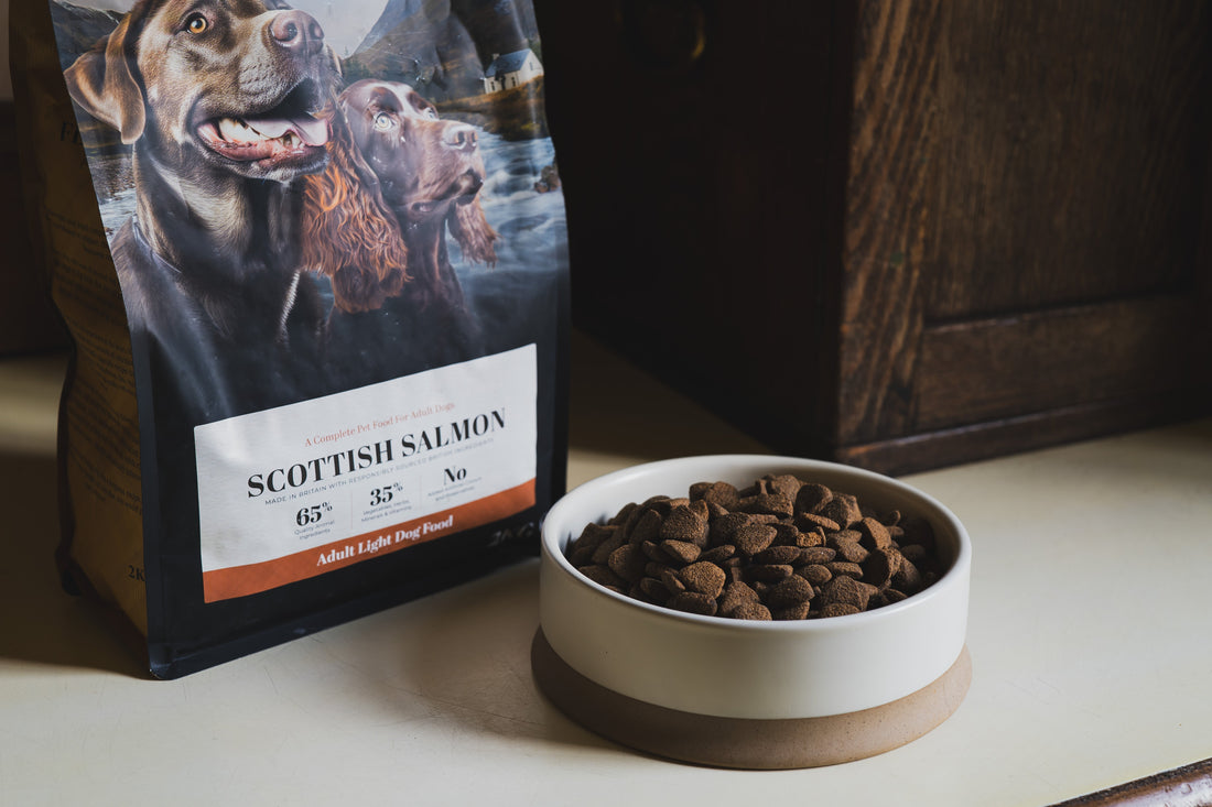 🐾 Should your Dog go grain-free? Here's what You need to know