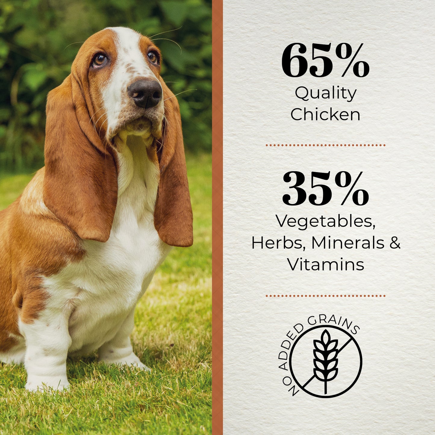 Ferguson British Free Range Chicken Adult Dry Dog Food