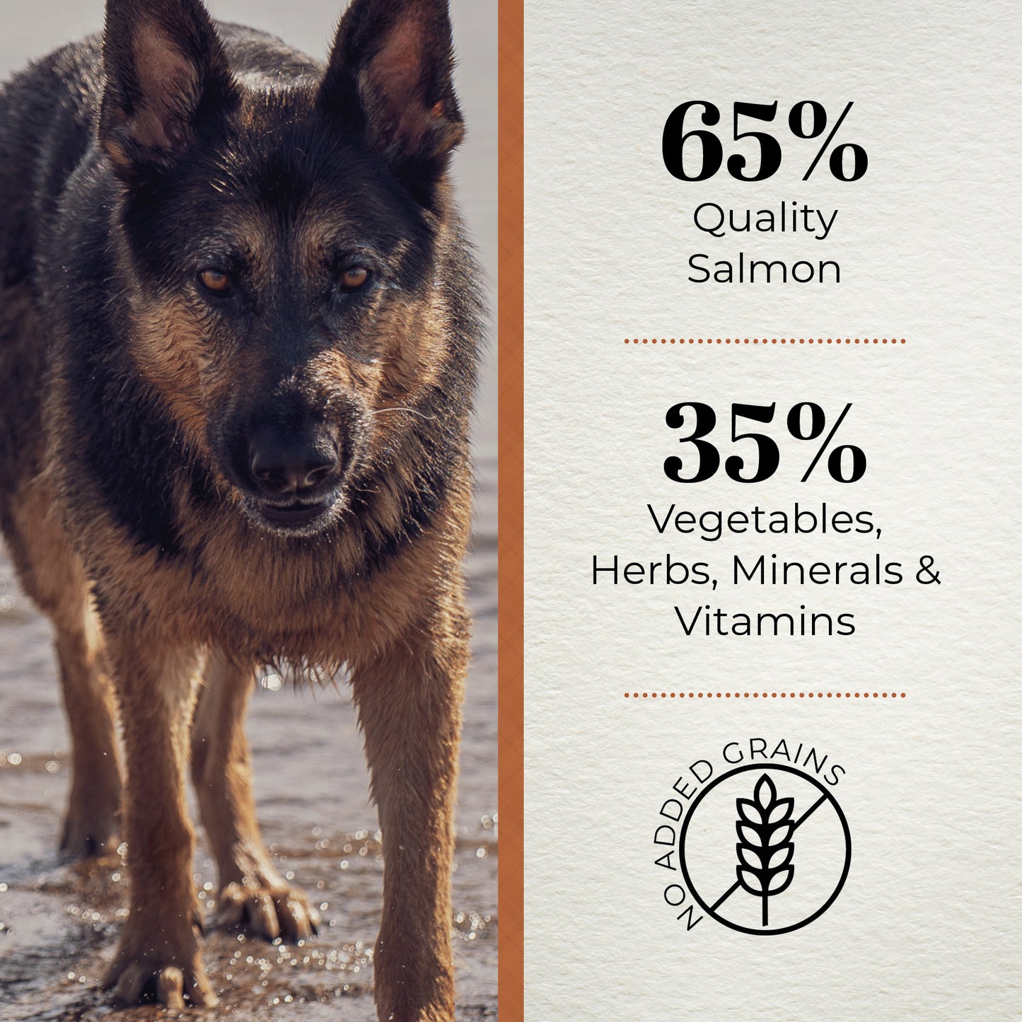Ferguson Scottish Salmon Adult Dry Dog Food