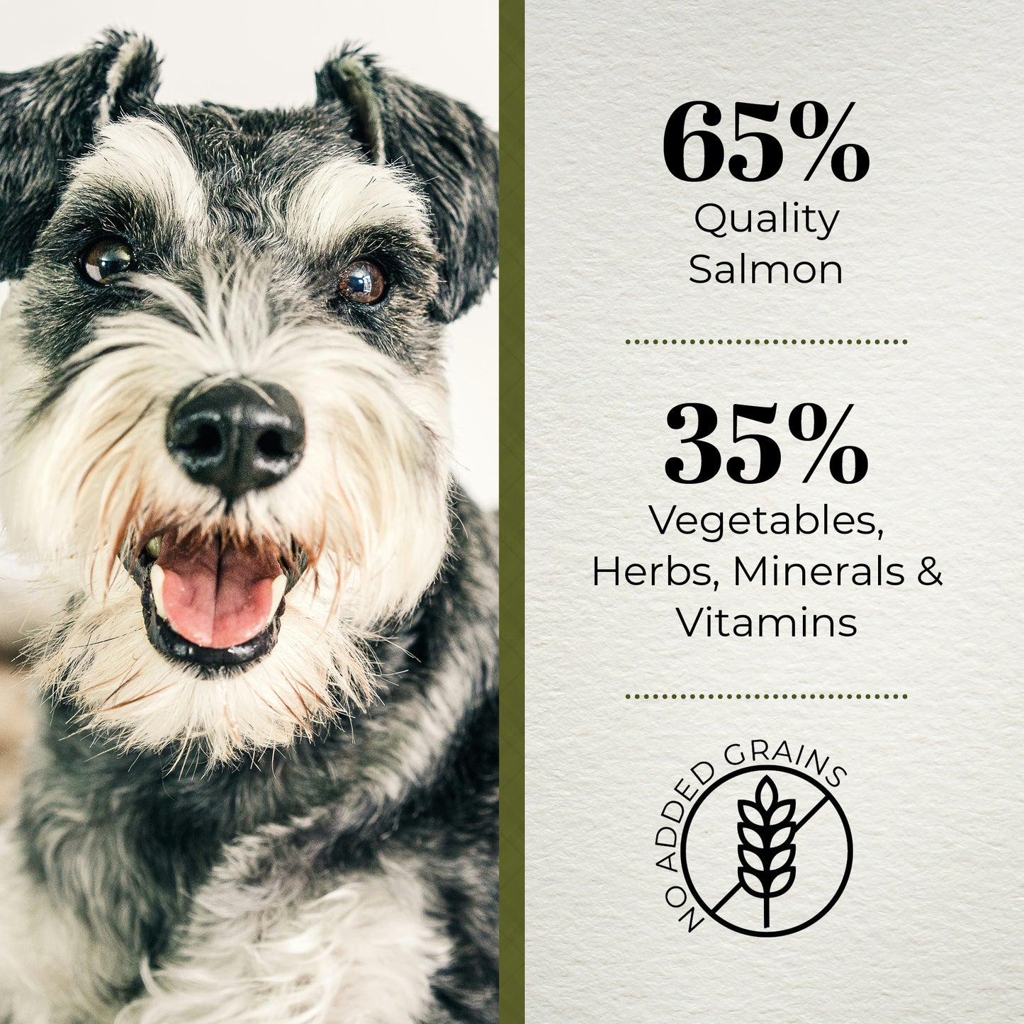 Ferguson Scottish Salmon Senior Dry Dog Food